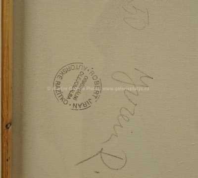  / V lázních / Robert Jiran