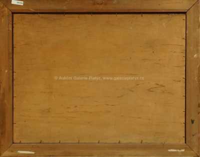  / Posezení v trávě / Viktor  Rolín