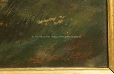  / Posezení v trávě / Viktor  Rolín