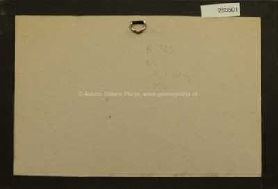  / Habana Bizarr / Kája Saudek