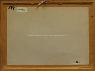  / Polizei / Kája Saudek