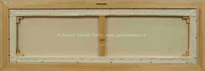  / Prales / František Ringo Čech