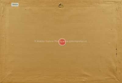  / Od Mladé Vožice / Ota Bubeníček