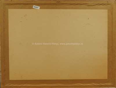  / Postava / Jiří Načeradský