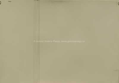  / ICECREAM - pink / Pasta  Oner