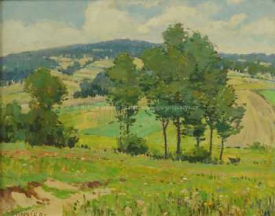  / Stromy na svahu / Jaroslav Panuška