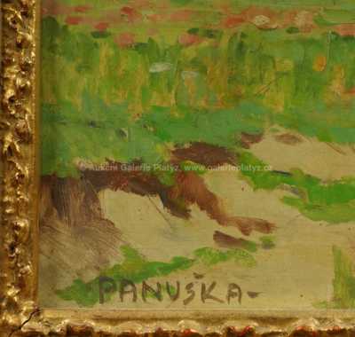  / Stromy na svahu / Jaroslav Panuška