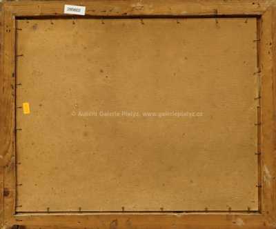  / Kamenitý břeh / Roman Havelka