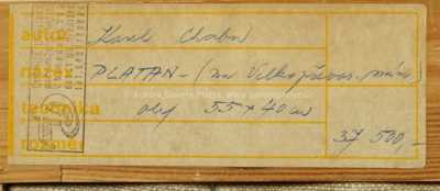  / Platan na Velkopřevorském náměstí / Karel Chaba 