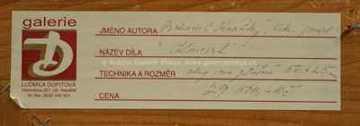  / Koncert / Bohumil Krátký