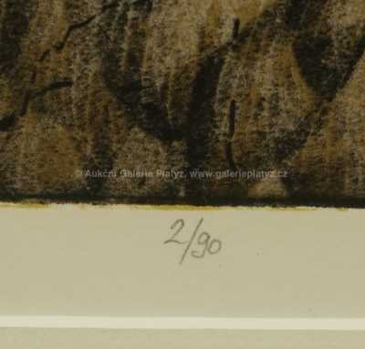  / Satyr a dvojí tvář / Josef Liesler