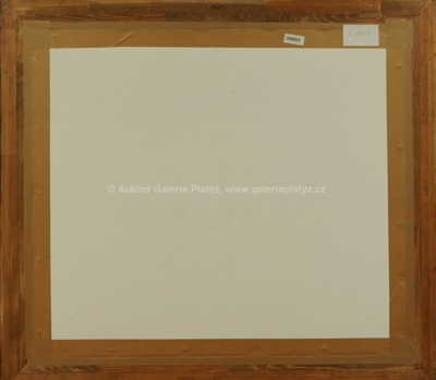  / Marie / Jan Saudek