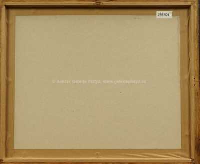  / Přistání v Roa-na / Zdeněk Burian