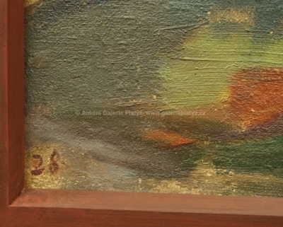  / Strom / Jaroslav Grus