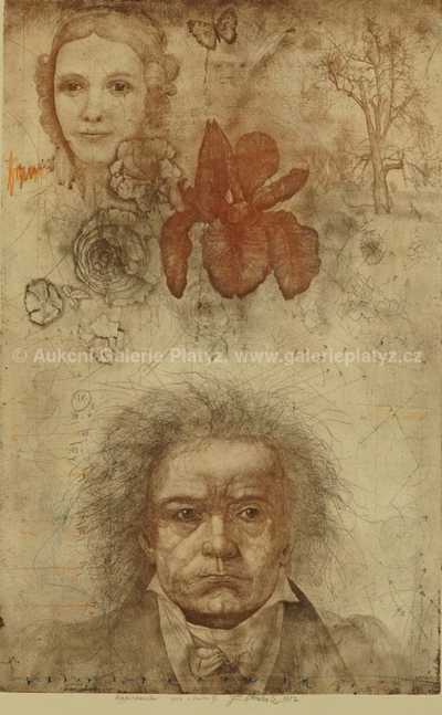  / Appassionáta / Jiří Anderle