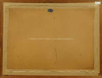  / Na cestě / Vojtěch  Sedláček