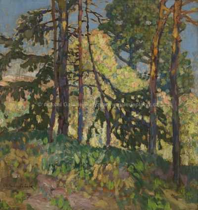  / Průhled lesem / Ota Bubeníček