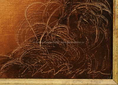  / Perlička / Jan Rapin