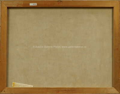  / Zelené knihy / Vladimír Komárek