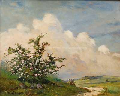  / Kvetoucí šípek v poli / Gustav  Porš