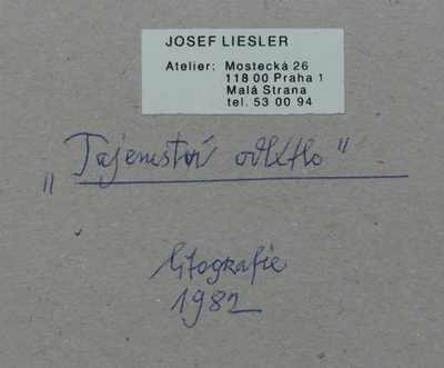  / Tajemství odlétlo / Josef Liesler