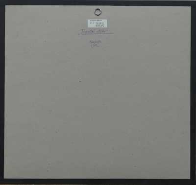  / Tajemství odlétlo / Josef Liesler