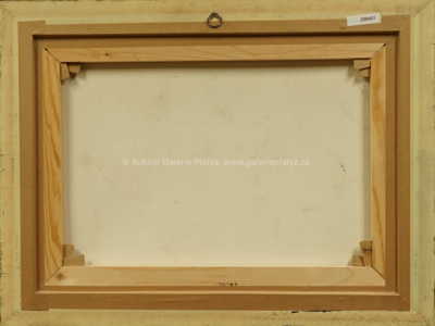  / Čtenářka / Jiří Načeradský