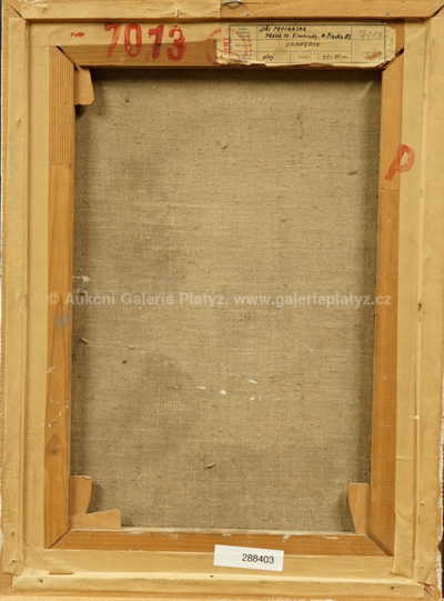  / Draperie / Jiří Procházka