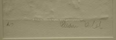  / Eva a had z ráje / Olbram Zoubek