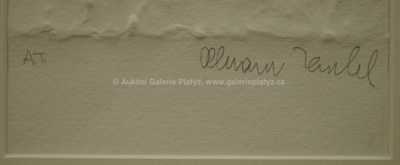  / Hlava Adama / Olbram Zoubek