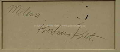  / Milenci / Kristian Kodet