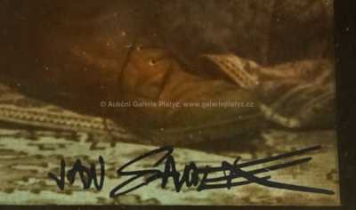  / One Year in the Life of Petra / Jan Saudek