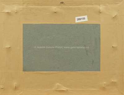  / Na Labi / Václav Radimský