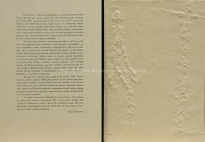  / Sergeji! Drahuno! / Olbram Zoubek