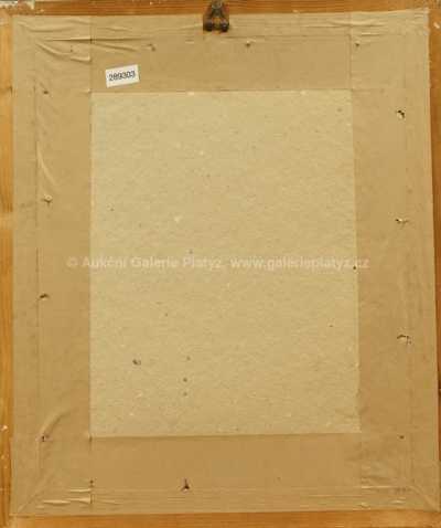  / Žabka / Ota Janeček