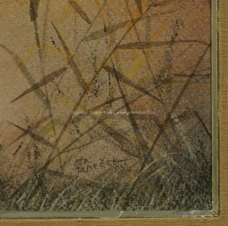  / Žabka / Ota Janeček