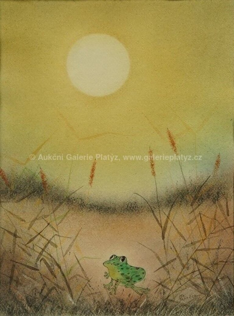  / Žabka / Ota Janeček