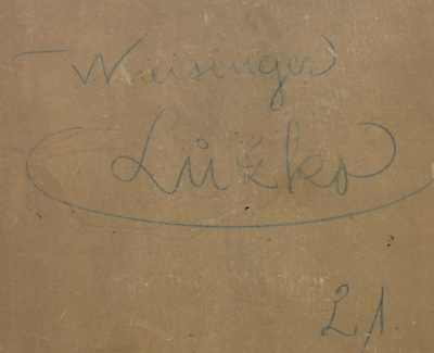  / Na lůžku / Václav Kreisinger