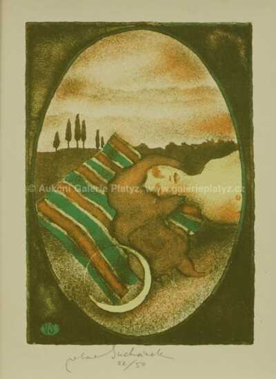  / Konvolut tří kusů / Vladimír Suchánek