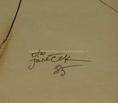  / Dívka / Ota Janeček