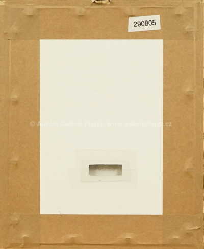  / Dvojčata / Olbram Zoubek