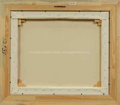  / Vymítání ďábla čertem / František Ringo Čech