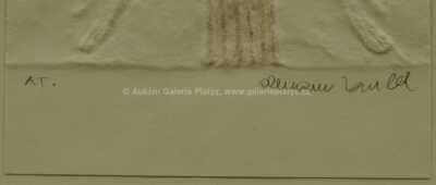  / Marie Josefova bez ratolesti / Olbram Zoubek