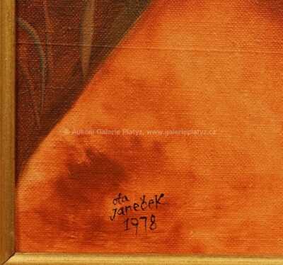  / Snt. Francois / Ota Janeček