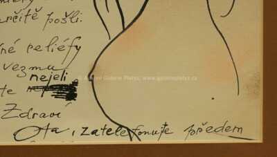  / Zasněná / Ota Janeček