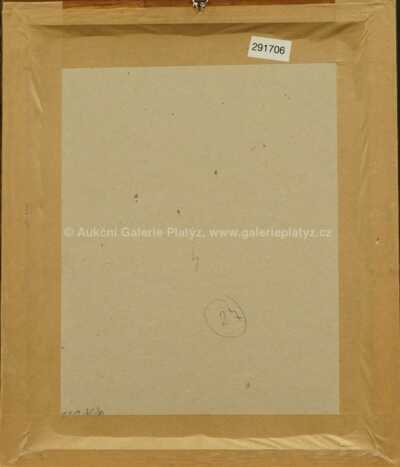  / Zasněná / Ota Janeček