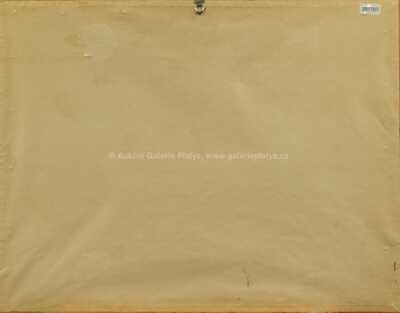  / Dvojice / Adolf Born