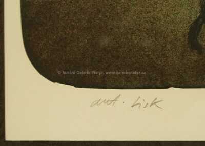  / Dvojice / Adolf Born