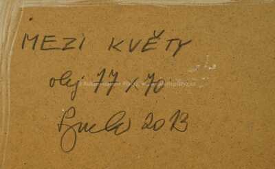 / Mezi květy / Josef Synek