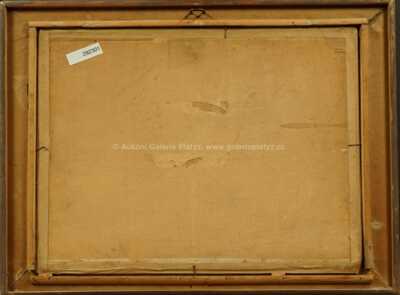  / Labská tůň / Václav Radimský